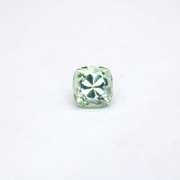 Mint Grossular Garnet 1.00 cts-1174