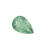 Par 36d_1 - GEMWORLD LTD Green leaf with prominent veins on a white background.