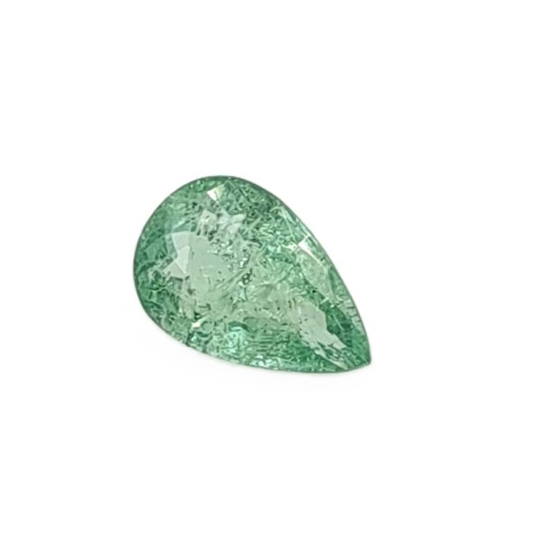Par 36d_1 - GEMWORLD LTD Green leaf with prominent veins on a white background.