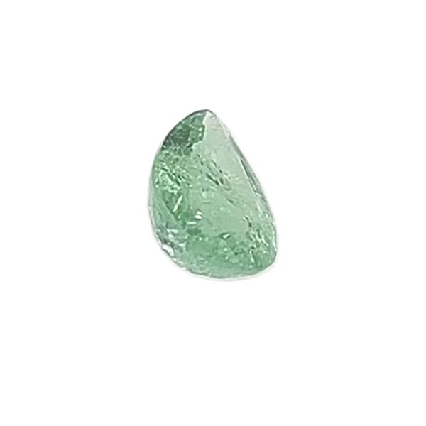 Par 36d_7 - GEMWORLD LTD Close-up of a green leaf edge with visible veins on a white background.