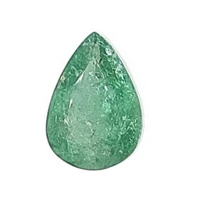 Close-up of a green teardrop-shaped leaf with a textured surface on a white background.